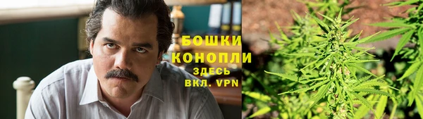 прущие грибы Зеленодольск