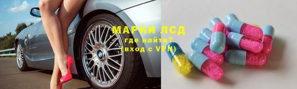 прущие грибы Зеленодольск