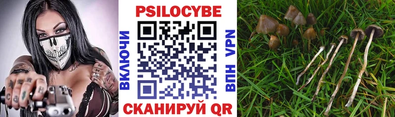 Галлюциногенные грибы мухоморы  Купить закладки  Короча 